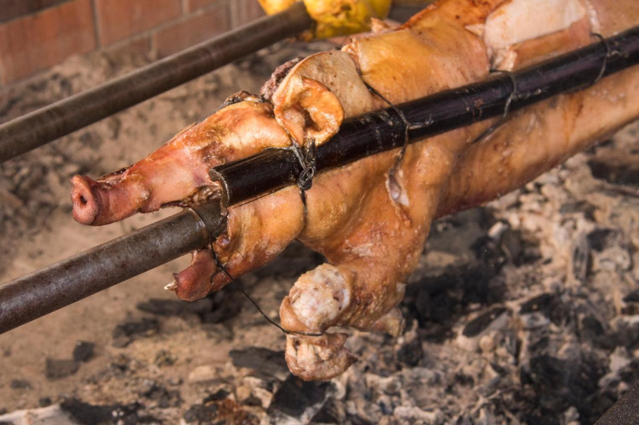 Oaxaca Inn Reforma 外观 照片